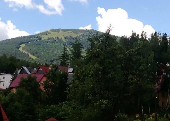 Sloneczny Apartment *